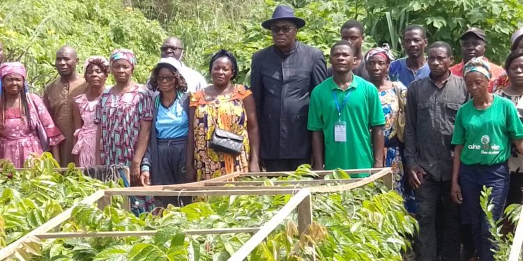 Cameroun -Lutte contre le réchauffement climatique : Sa Majesté Prosper Parfait MBASSI BESSALA offre des plants aux associations féminines